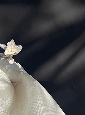 《白玉兰》戒指 烧白工艺小众设计高级感新中式国风开口可调节