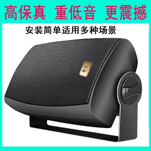 歌生壁挂音箱高保真挂式喇叭
