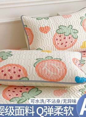 南极人冰丝枕套一对装乳胶凉席枕头套单个夏季48x74cm枕芯内胆套2