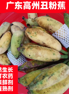 无农药保鲜剂自然熟香蕉