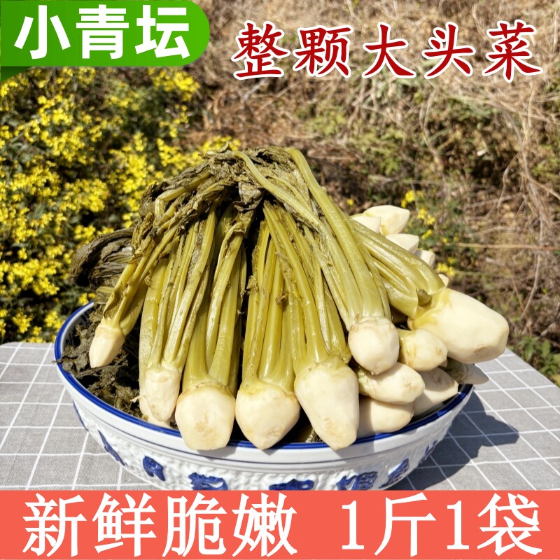 小青坛酸菜泡菜整颗大头菜苗袋装