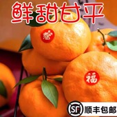包邮 正宗四川眉山甘平柑橘小金牛应季 孕妇新鲜特大水果耙耙柑顺丰