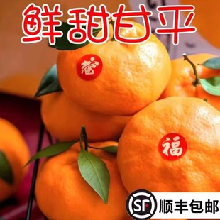 正宗四川眉山甘平柑橘小金牛应季孕妇新鲜特大水果耙耙柑顺丰包邮