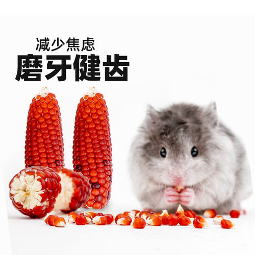 仓鼠零食金丝熊磨牙迷你小玉米