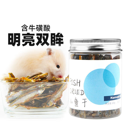 金丝熊零食明亮双眸超爱吃小鱼干