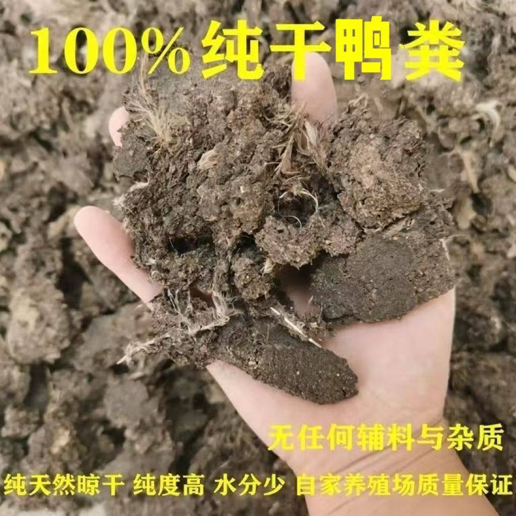 纯干鸭粪天然有机肥生态农业高效植物装饰植物养料