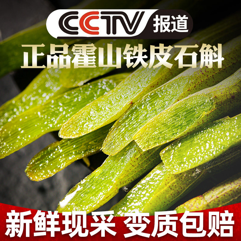 正品霍山铁皮石斛鲜条1斤干条新鲜枫斗特级礼盒装中药材500g