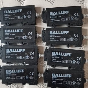 议价巴鲁夫BFB0004￥