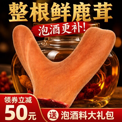 吉林新鲜梅花鹿茸整根泡酒专用煲汤整枝头茬二杠嫩中药材带血礼盒