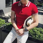 polo衫 男短袖 t恤翻领潮流修身 2026春季 韩版 针织0204w