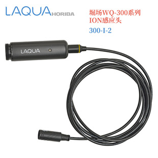 6560S 日本HORIBA堀场WQ 10C 300系列ION感应头 离子电极300