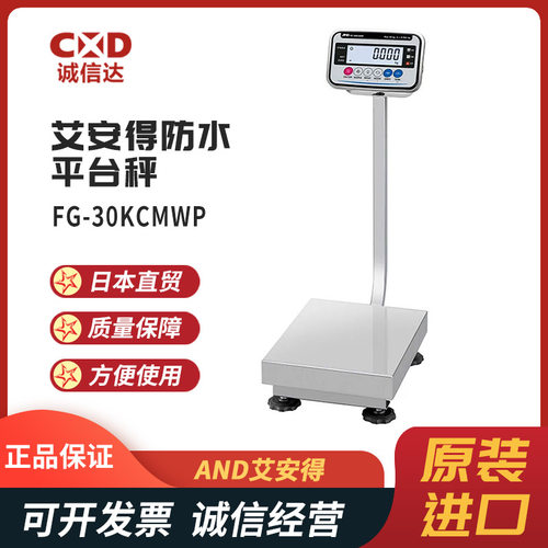 正品日本进口AND艾安得FG