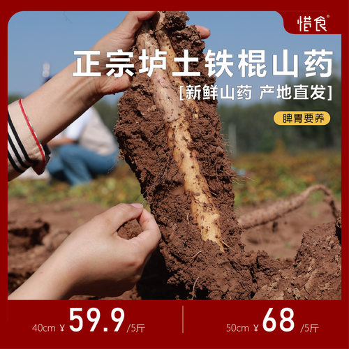 脾胃要养垆土铁棍山药原产地直发