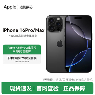苹果iPhone 原装 Max国行正品 全网通5G双卡双待16Pro Pro Apple
