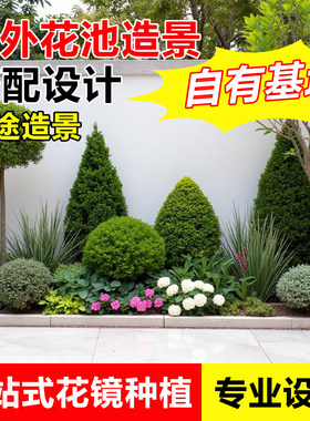 红枫树苗亮晶女贞球棒棒糖花镜