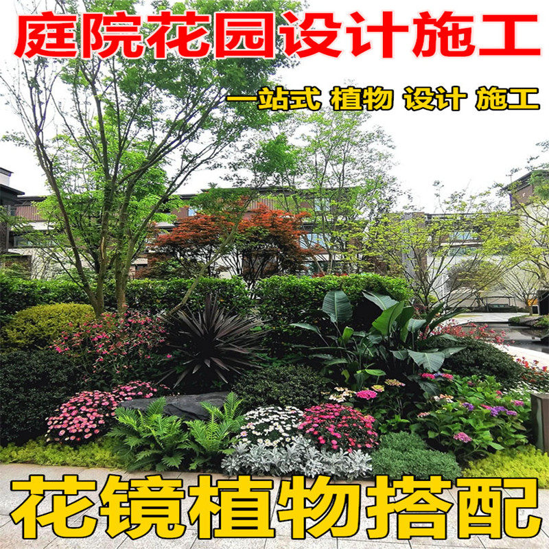 花镜植物园艺绿植搭配矾根花苗
