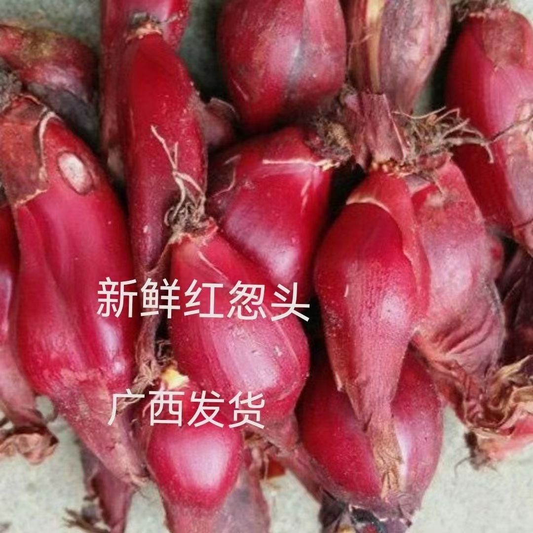 两广野生红葱头珠葱红百合红蒜红血葱百步还阳草红根水仙煲汤食材