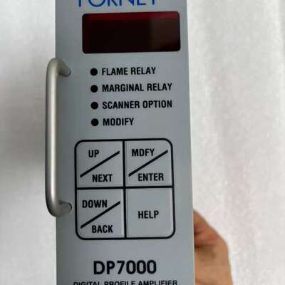 FORNEY福尼DP7000火焰检测放大器，正品功能完好