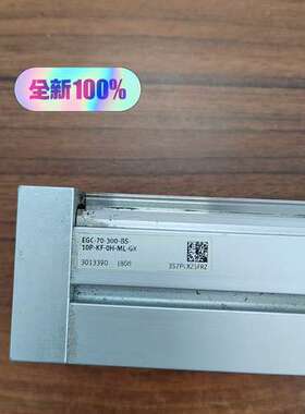 EGC-70-300-BS-10P-KF-0H-ML-G