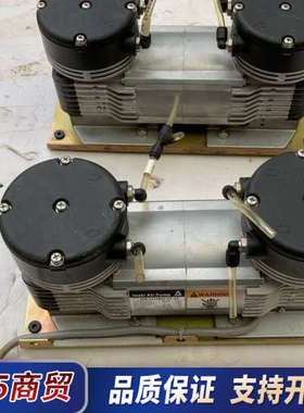 日本Iwaki易威奇APN-P215MVX-E4-64双头气议价