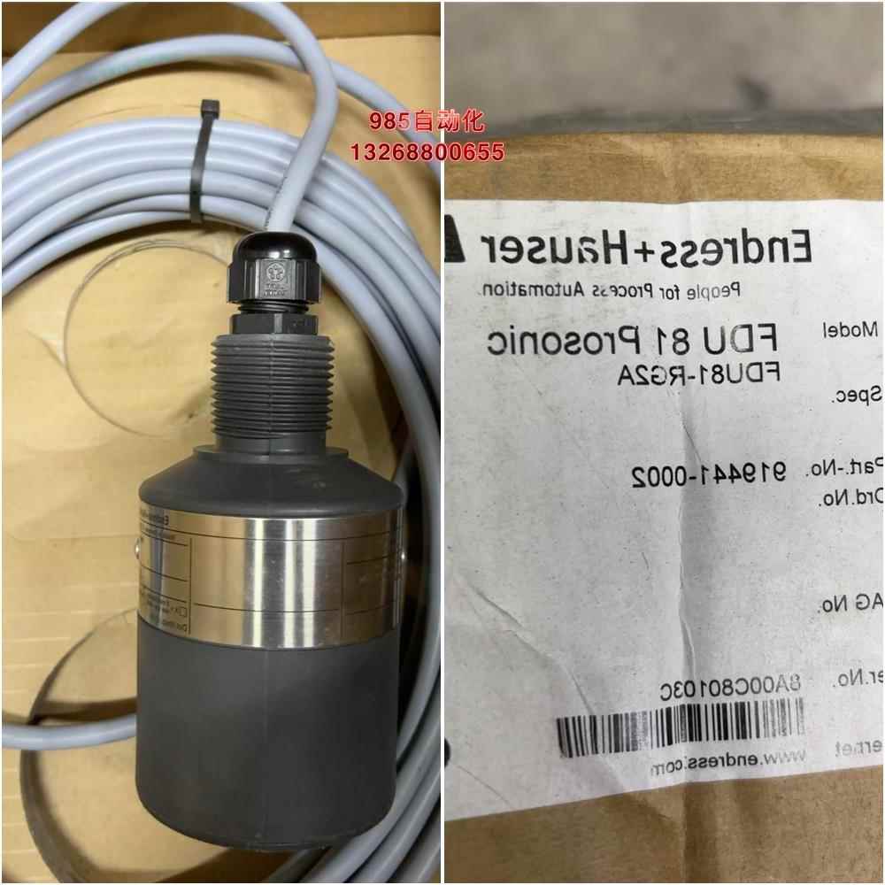 E+H恩德斯豪斯超声波液位计FDU81-RG2A
