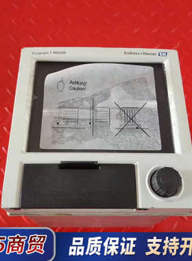 E+H恩德斯豪斯无纸记录仪Ecograph-T RSG35，议价