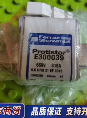E300039 660B  315A   2个  熔断器议价