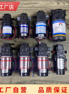 自动加水蒸汽锅炉专用抽水泵 兴沃白金龙伟杰汉明威盛泰原装配件