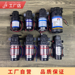 自动加水蒸汽锅炉专用抽水泵 兴沃白金龙伟杰汉明威盛泰原装配件