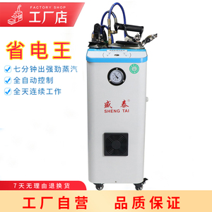 全自动压力式大功率盛泰增压锅炉