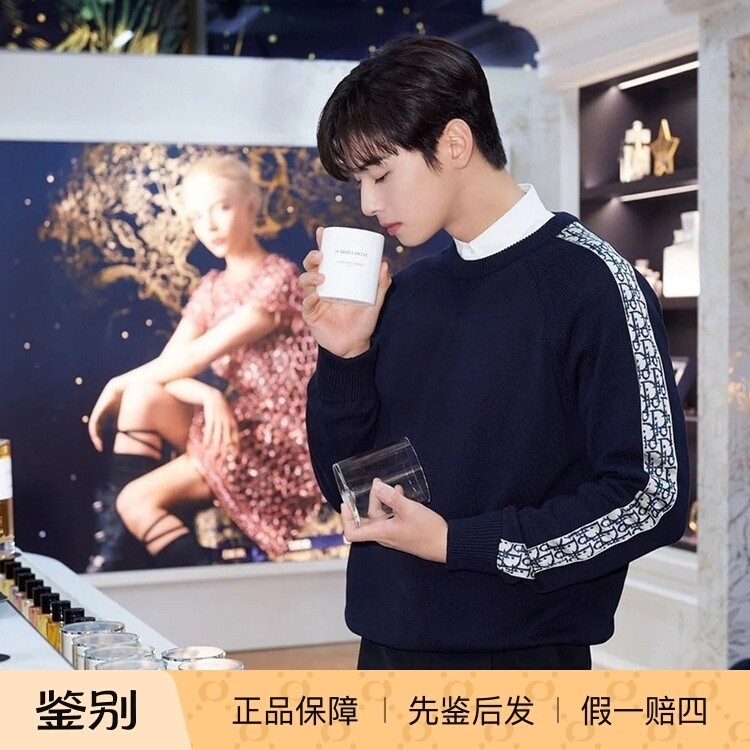 国内现货DIOR迪奥 秋冬经典款侧边老花logo印花针织衫毛衣折扣