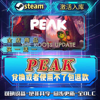 拉我一把PEAKsteam激活码
