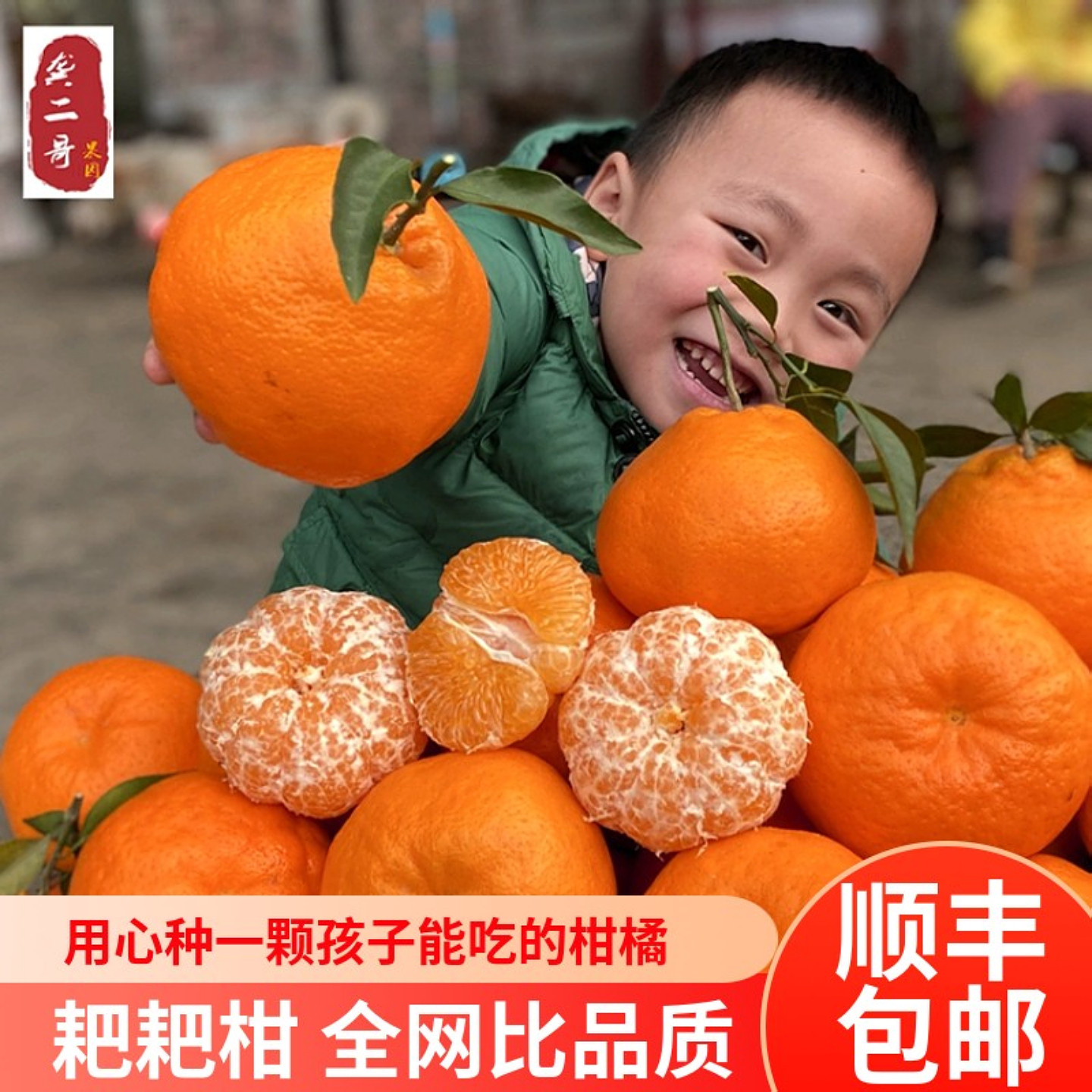 四川春见耙耙柑粑粑柑杷杷柑旗舰店大果孕妇橘子新鲜礼盒顺丰蒲江,水产肉类/新鲜蔬果/熟食,桔子,淘宝优惠券,粉丝福利购,淘宝优惠卷