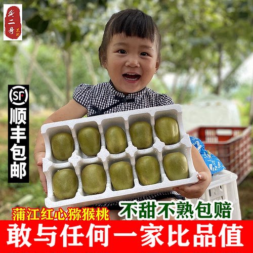 包熟红心猕猴桃四川蒲江新鲜顺丰