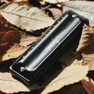 JDR嘉德瑞刺客十孔布鲁斯蓝调口琴C调初学进阶演奏压音超吹