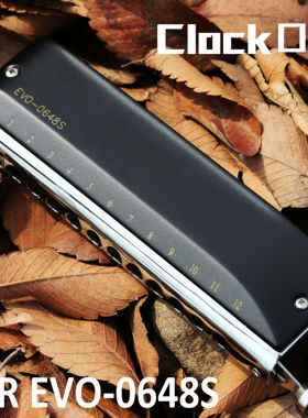 JDR嘉德瑞EVO-0648S半音阶口琴12孔C调成人初学进阶专业演奏款