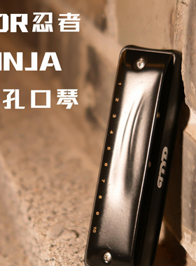 JDR嘉德瑞忍者十孔布鲁斯蓝调口琴C调NinJa初学进阶演奏压音超吹