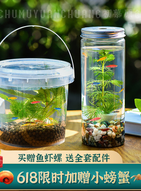生态瓶桌面微景观自循环免打理小植物鱼缸小鱼小虾礼物星座风水鱼