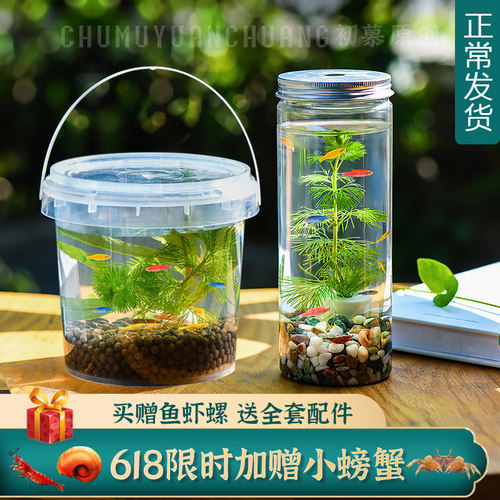 真活小鱼水草满分作业推荐