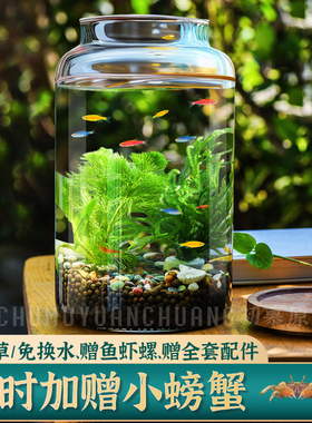 生态瓶水草小鱼缸玻璃办公桌面微景观生日情侣礼物DIY作业免换水