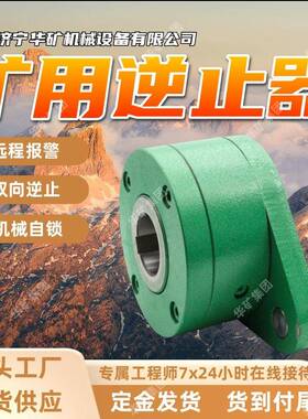 NYD(NJ)220逆止器 远程报警逆止器 大扭矩承载NYD(NJ)220逆止器