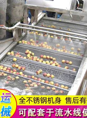 全自动气泡清洗机 茄子条清洗机 萝卜丝喷淋式清洗设备 洗菜机