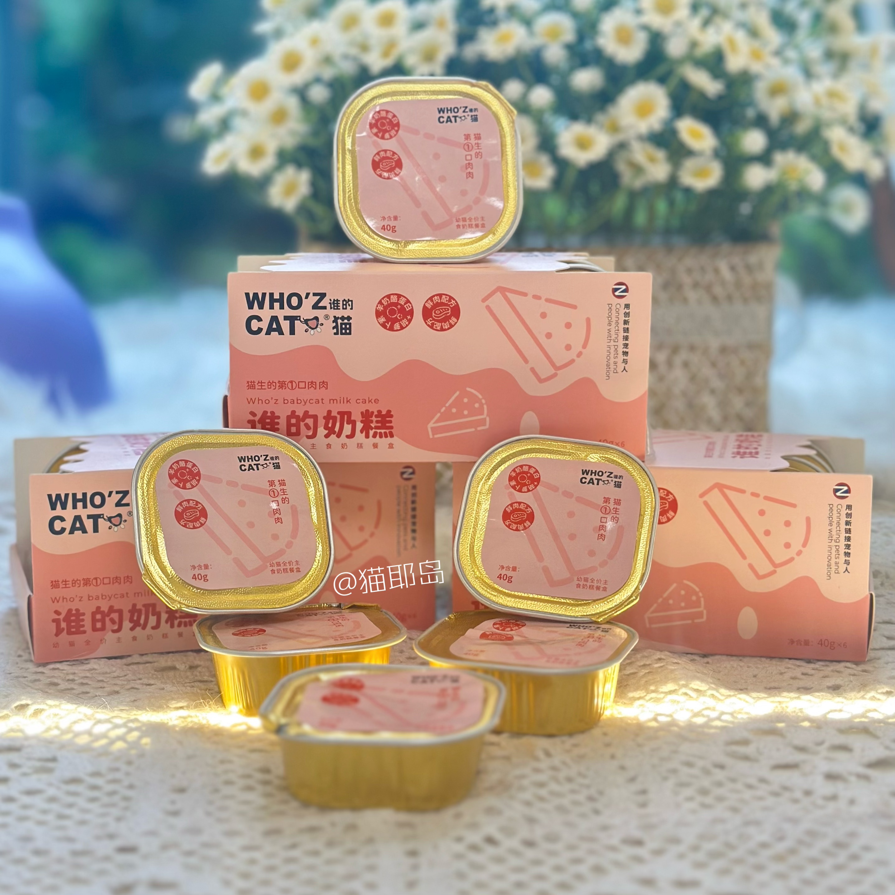 whozcat谁的餐盒 鸡蛋羹奶糕全价幼猫营养主食餐盒