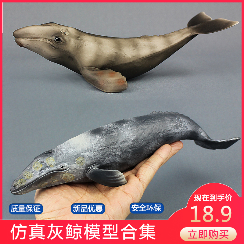 仿真海洋生物动物世界模型灰鲸玩具大号塑胶儿童男孩科教认知礼物