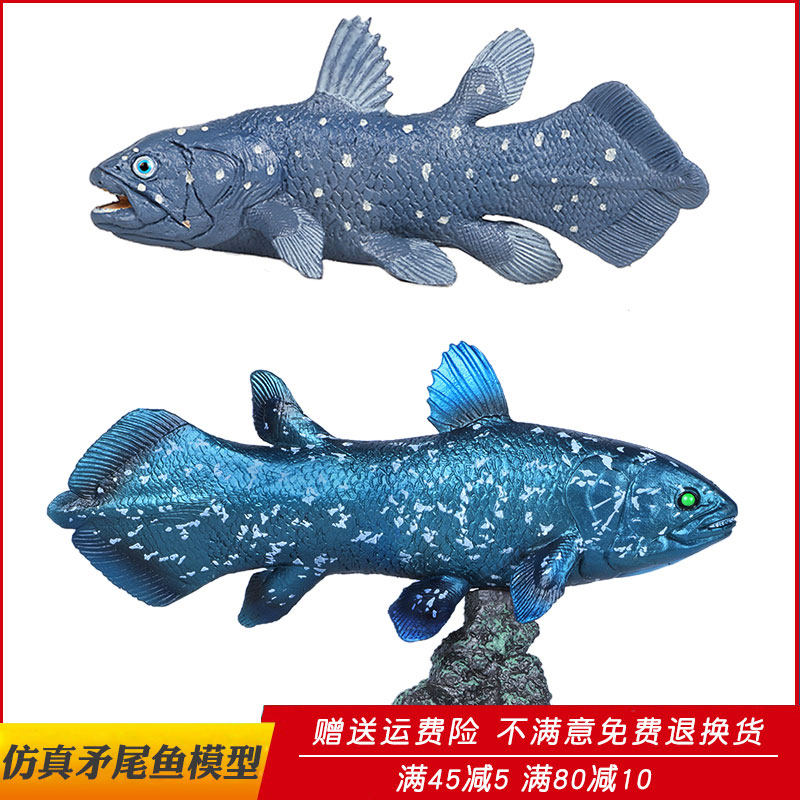 仿真海洋生物动物模型海底活化石远古矛尾鱼玩具儿童男孩认知礼物
