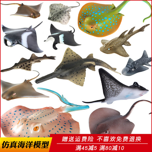 动物模型蝠鲼魔鬼魟鱼儿童认知