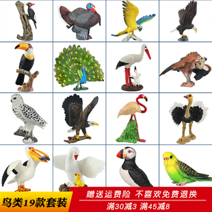 仿真鸟类动物模型老鹰玩具鹦鹉猫头鹰秃鹫鹈鹕天鹅儿童认知小摆件