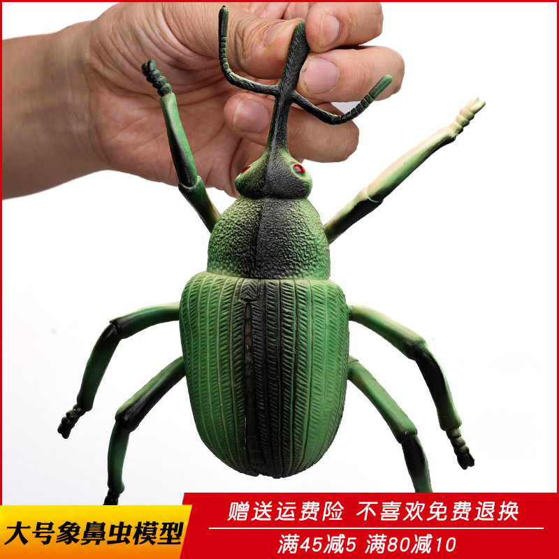 仿真象鼻虫玩具昆虫王国模型象甲大号塑胶塑料儿童科教礼物礼物