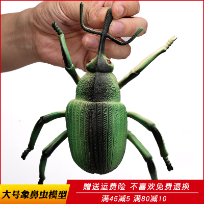 仿真象鼻虫塑胶模型玩具