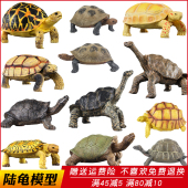 仿真野生动物模型加拉帕戈斯象龟玩具陆龟乌龟儿童认知礼物摆件